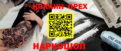 шишки Боровичи