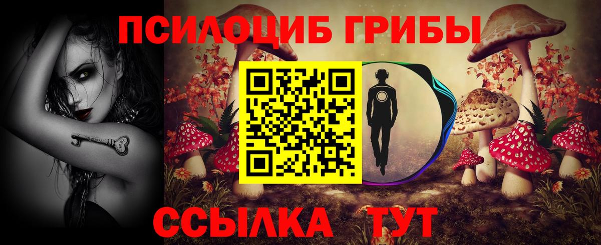 Псилоцибиновые грибы Psilocybe  Вход с VPN  Белорецк 